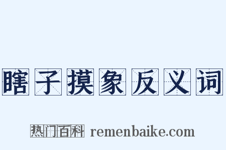 瞎子摸象反义词是什么意思的图片